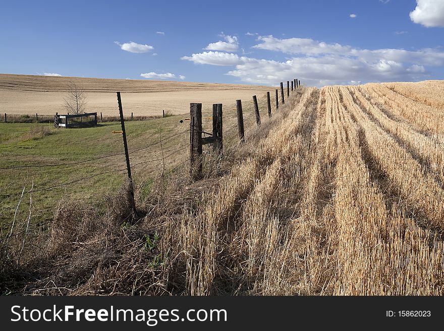 A fence line leads off to the horizon in the palouse. A fence line leads off to the horizon in the palouse.