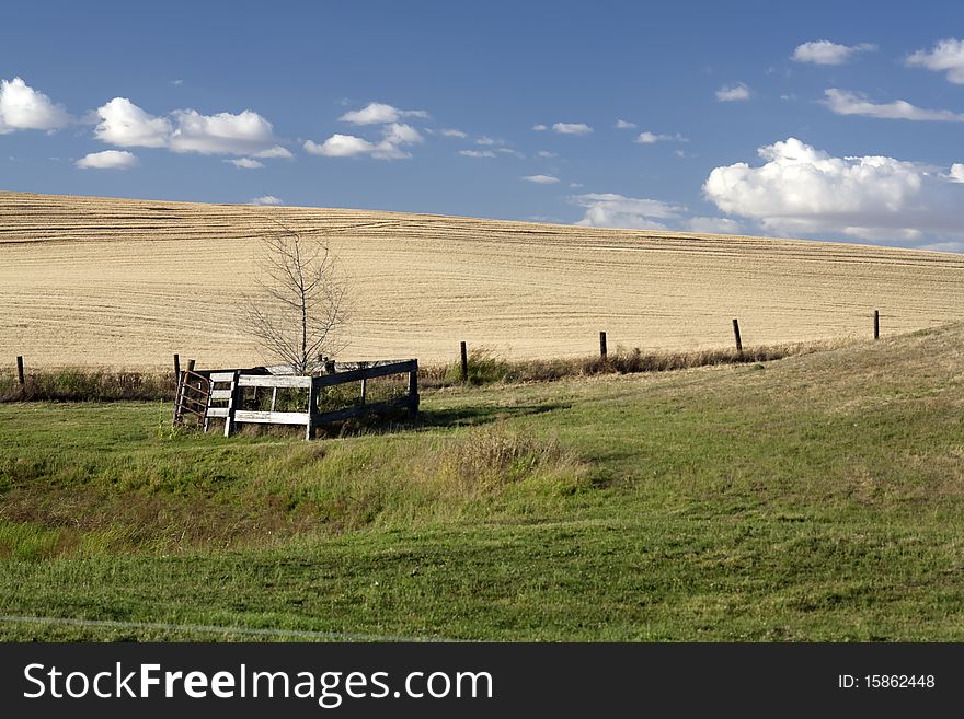 A small tree sits in a pasture surrounded by wide open farm farmland. A small tree sits in a pasture surrounded by wide open farm farmland.