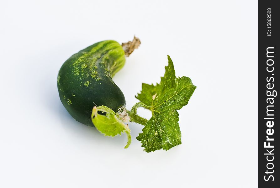 Fresh young cucumber on white background. Fresh young cucumber on white background