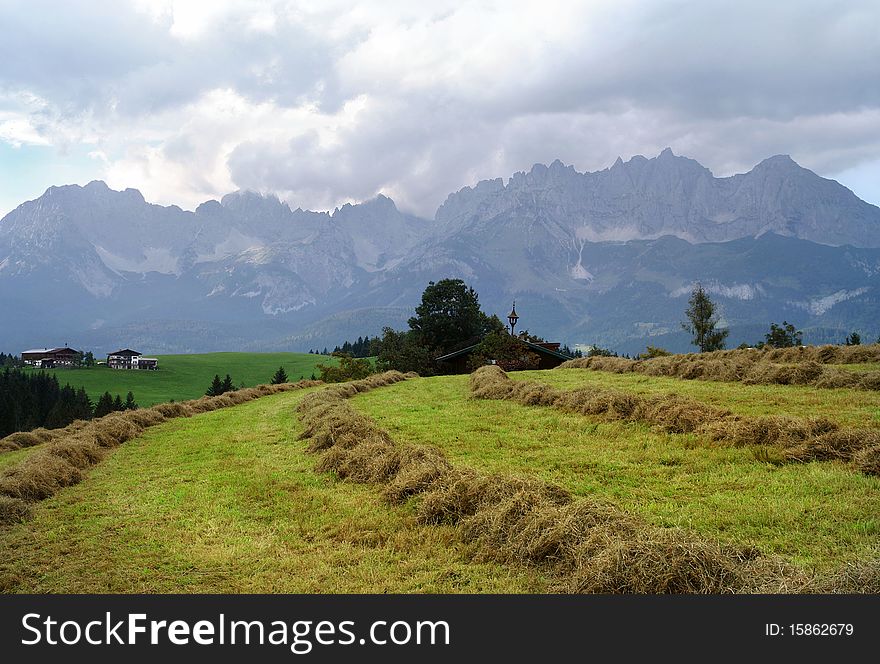 Mowing On The Alpine Meadows