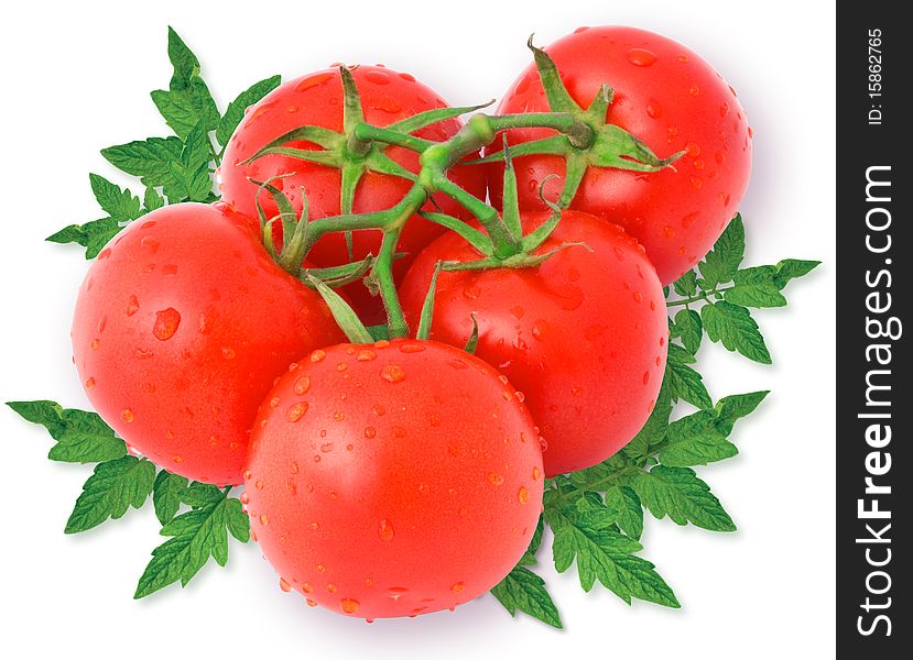 Nice fresh red tomatoes with green leaves and water drops isolated on white. Nice fresh red tomatoes with green leaves and water drops isolated on white