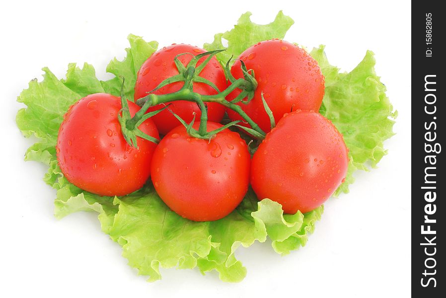 Nice fresh tomatoes with water drops and green lettuce isolated on white. Nice fresh tomatoes with water drops and green lettuce isolated on white