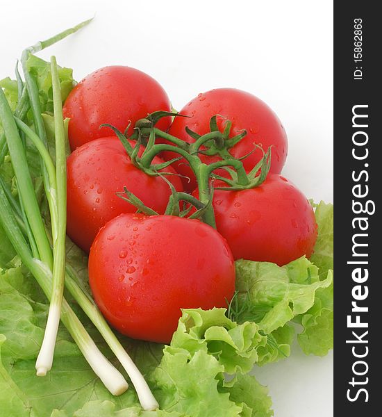 Nice fresh red tomatoes, green lettuce and leek. Nice fresh red tomatoes, green lettuce and leek