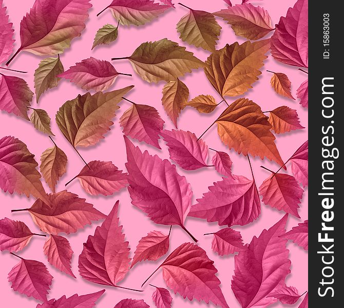 Composition of much photo leaves, pink samples. Composition of much photo leaves, pink samples