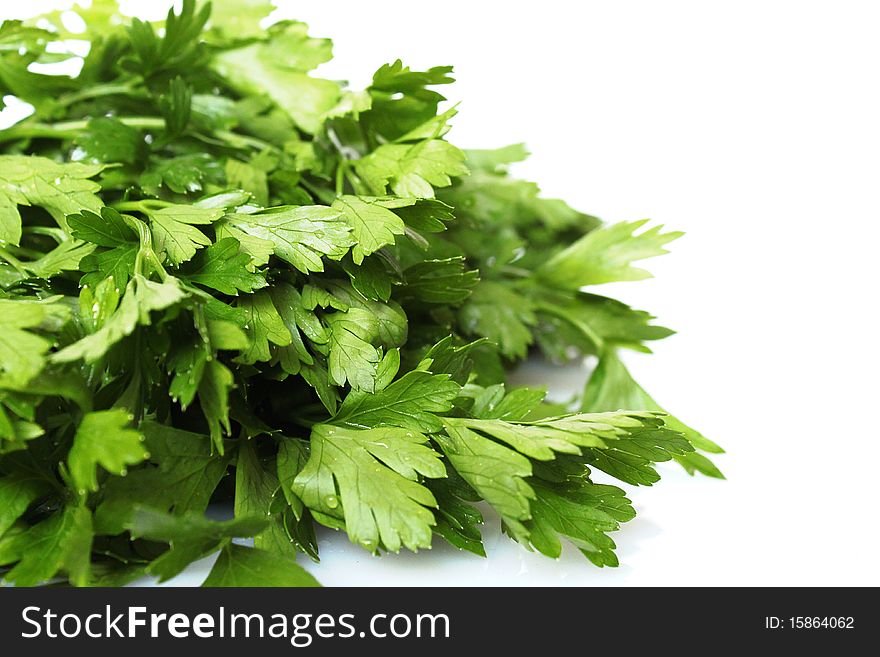 Green parsley with water drops shot on white background