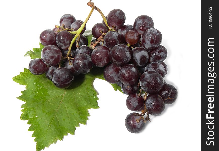 Bunch of grapes isolated on white background