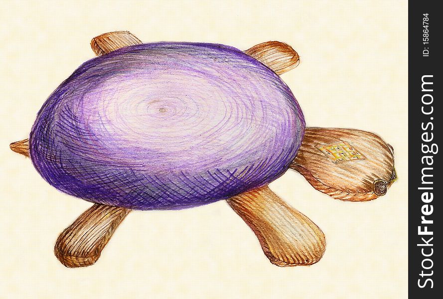 Toy tortoise, picture by a pencil