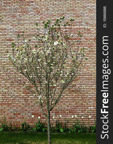 Abstract background with old brick wall and trees