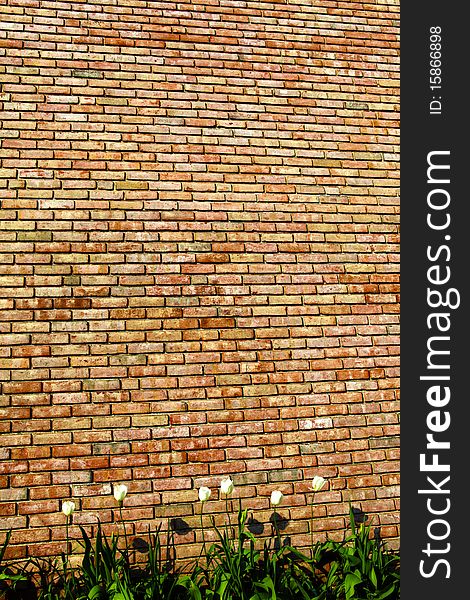 Abstract background with old brick wall