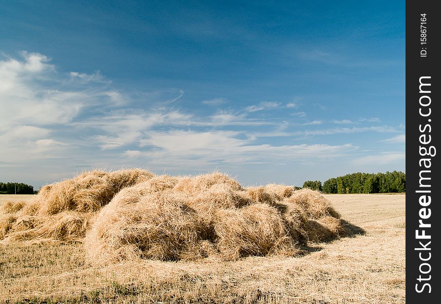 Haystack harvested on the field for drying