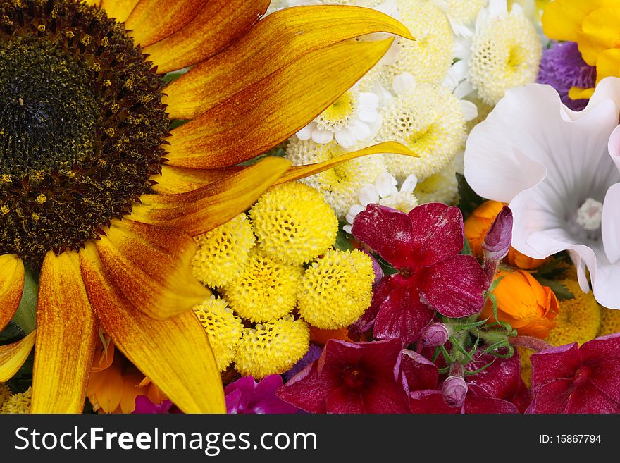 Bright Colorful Background With Flower