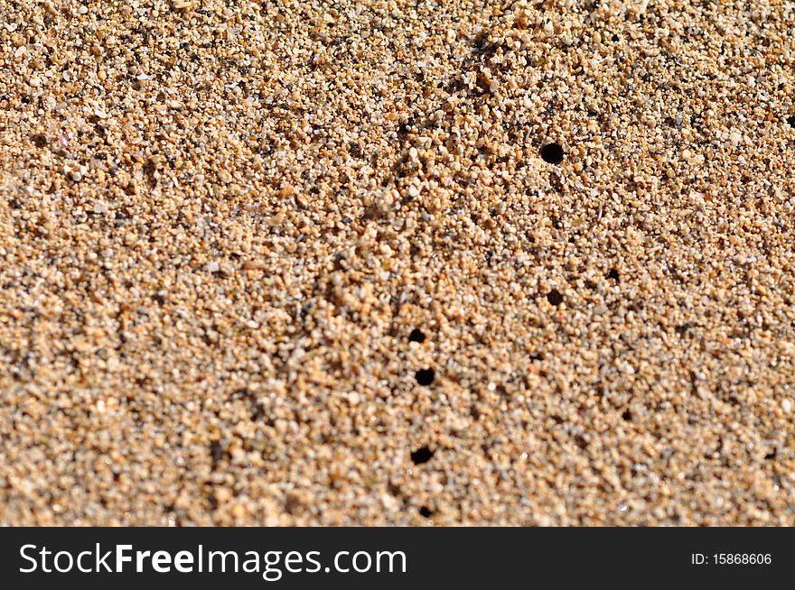 Sand beach closeup with format filling sand in detail. Sand beach closeup with format filling sand in detail