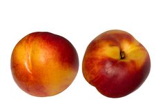 Fruit Hybrid Peach Apricot Nectarine Stock Photo Fruit Hybrid Peach Apricot Nectarine Stock Photo