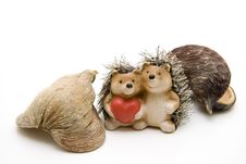 Hedgehog Pair With Heart Stock Image Hedgehog Pair With Heart Stock Image