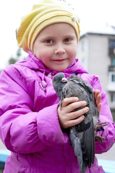 The Girl And Dove. Royalty Free Stock Photo