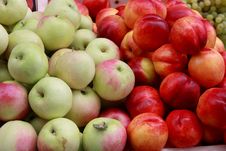 Fresh Apples And Nectarines Stock Images