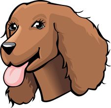 Color Cocker Spaniel Cartoon Royalty Free Stock Images Color Cocker Spaniel Cartoon Royalty Free Stock Images