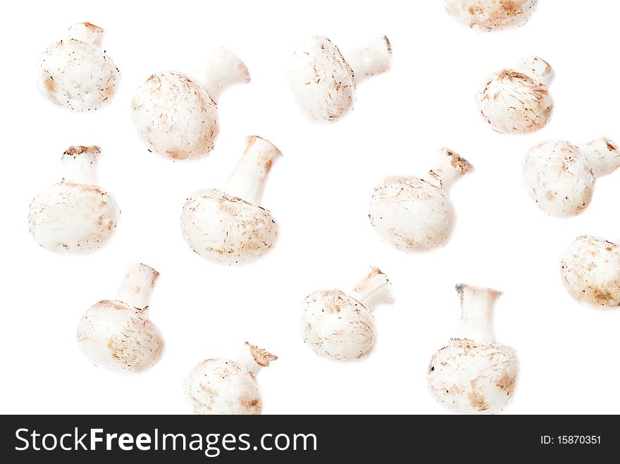 Raw mushrooms isolated on white background