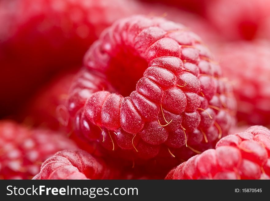Ripe raspberries. Close-up shot.