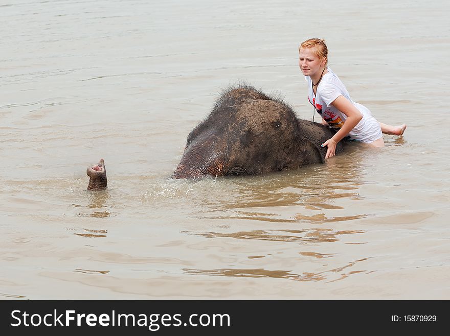 Girl Has Bath With Elephant