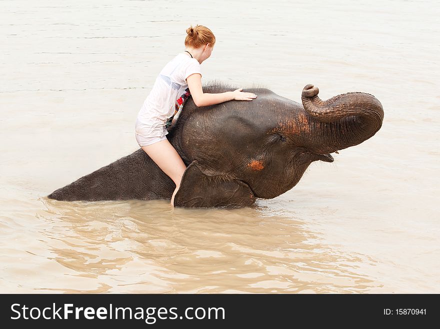 Girl Has Bath With Elephant