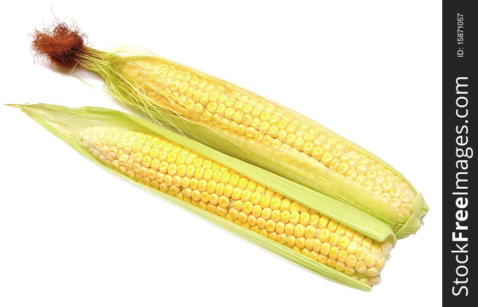 Two cob of corn and green leaves