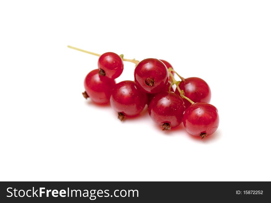 Fresh red currant on the white isolated background