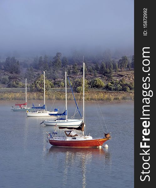 Sailboats in early morning fog