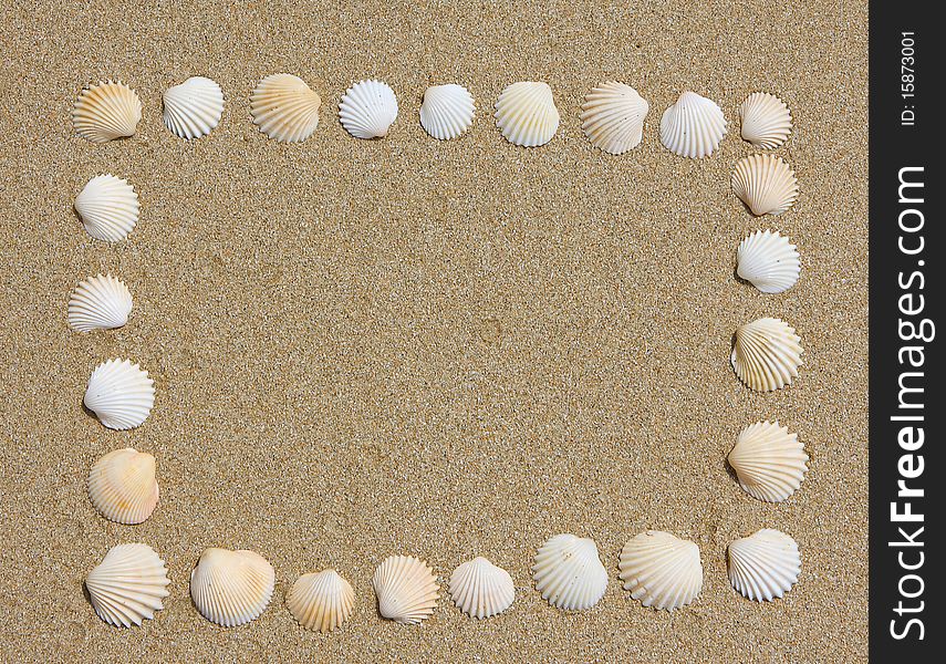 Sea holiday sand and shells background. Sea holiday sand and shells background