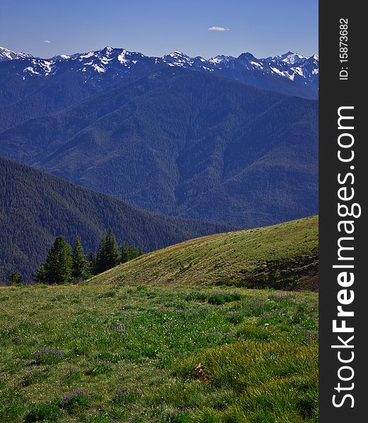 Mountain Landscape And Greem Meadow