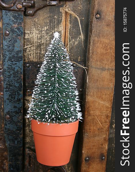 Small Christmas tree against a worn antique trunk