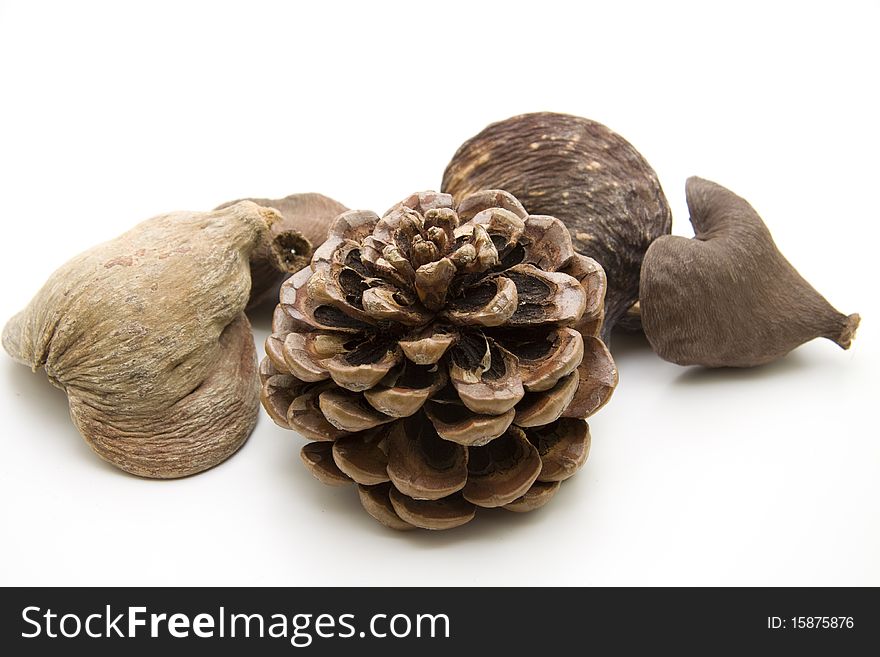 Fir cone with dry nut shells