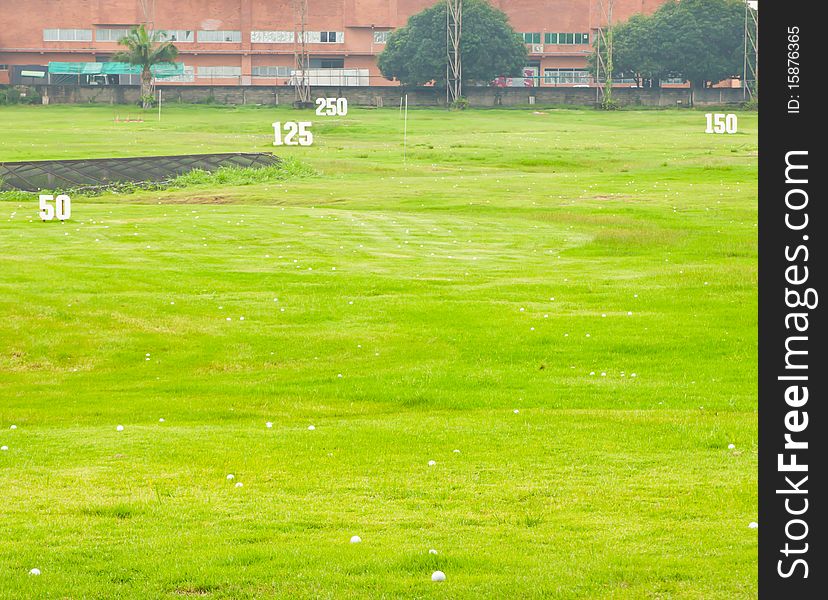 a lot of golf ball on grass field. a lot of golf ball on grass field