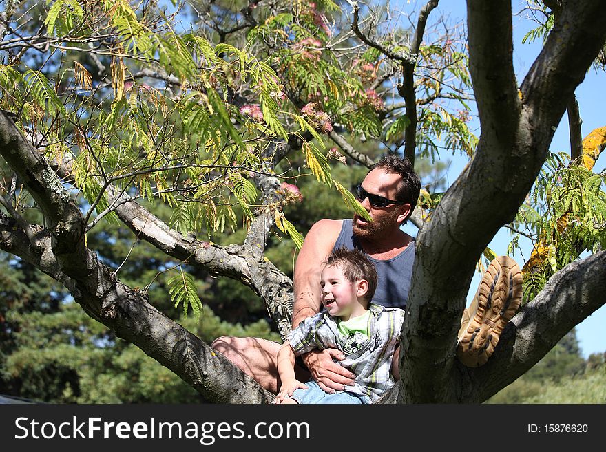 Man in a tree at the park with boy. Man in a tree at the park with boy