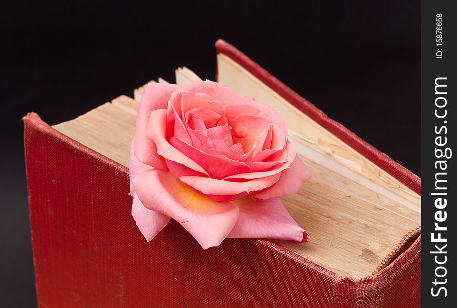 Pink Rose on Large Hard Bound Book. Pink Rose on Large Hard Bound Book