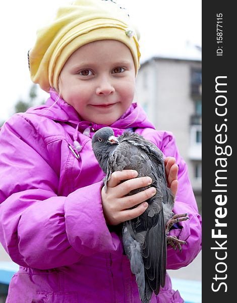 Girl holding a dove in his hands. Girl holding a dove in his hands.