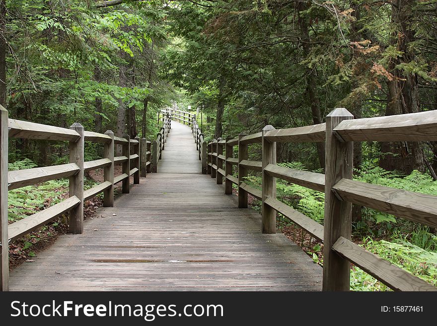 Boardwalk In The Park