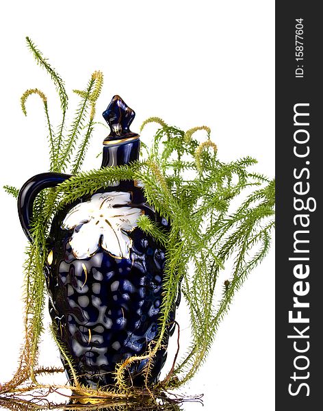 Old Decanter With Lycopodium