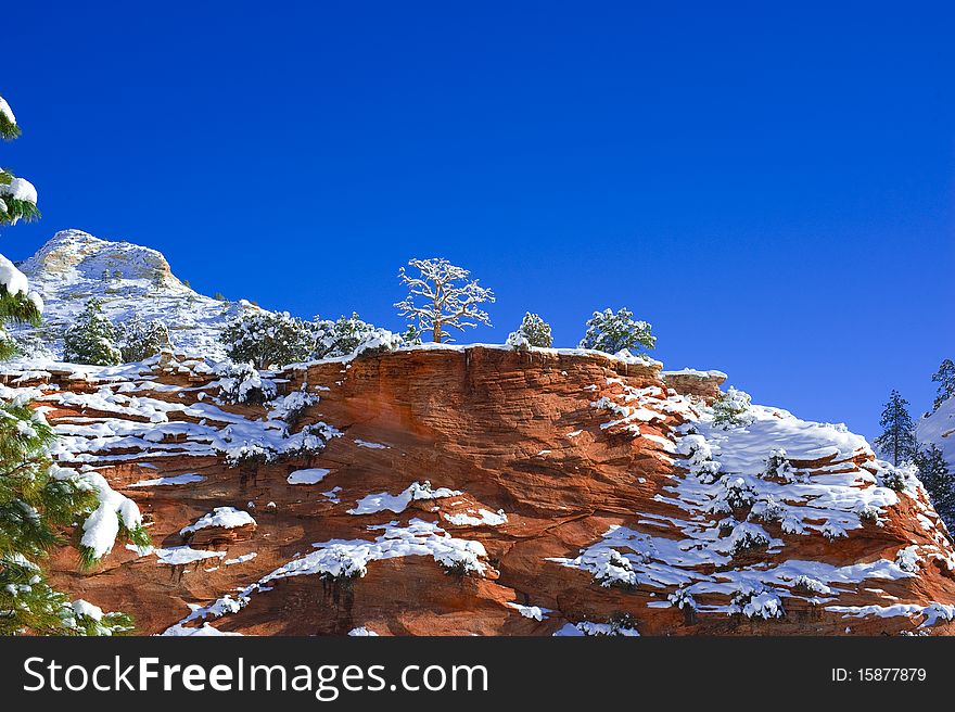 Zion National Park In Winter