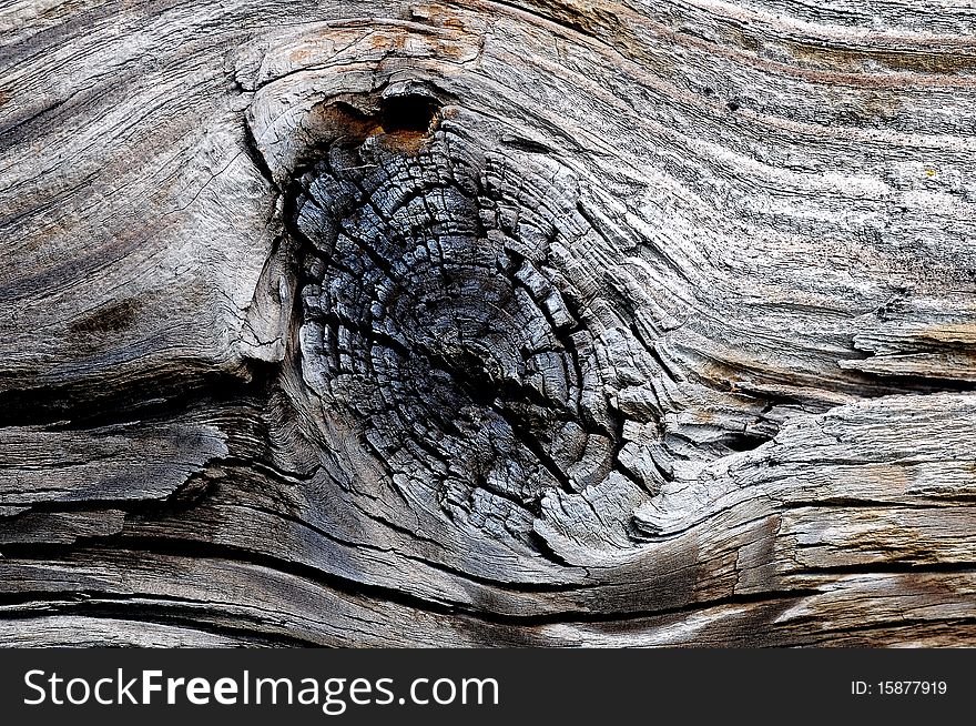 Wooden texture, tree, wooden material