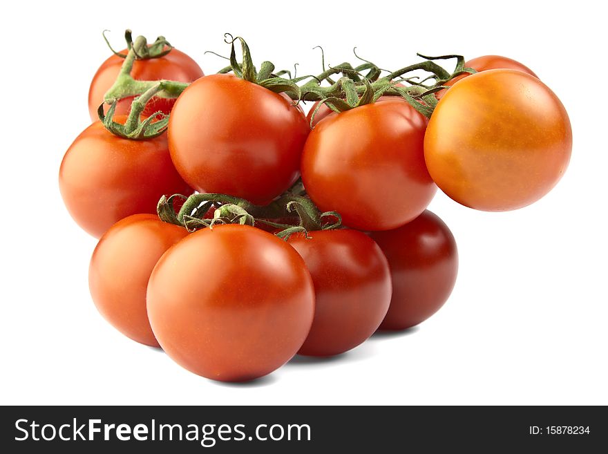 Bunch Of Tomatoes