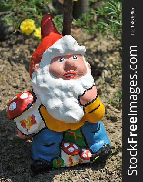 Image of a garden dwarf