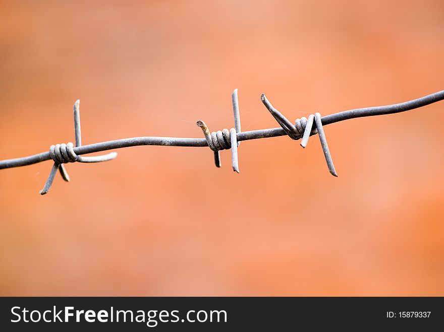 Barbed wire on Orange background