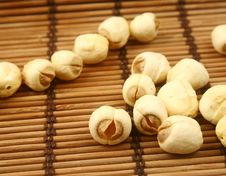 The Lotus Seeds Royalty Free Stock Images