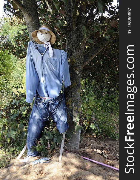 Shot of scarecrow at french farmland in brittany