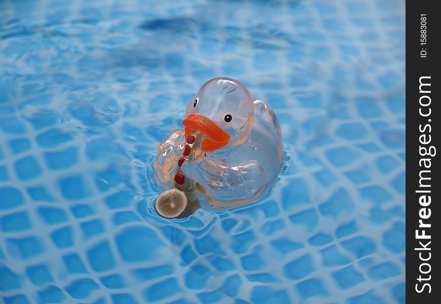 Saxophone duck in the pool