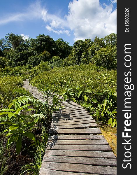 Crook wood bridge in jungle. Crook wood bridge in jungle