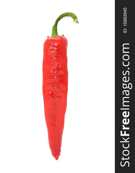 A red hot chili pepper isolated on a white background. A red hot chili pepper isolated on a white background