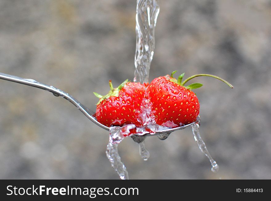 Water flowing over fresh strawberries on a spoon. Water flowing over fresh strawberries on a spoon