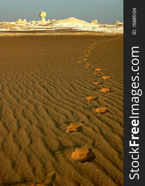 Scenery of the famous white desert with footprints in Egypt